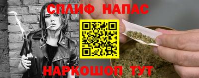 шишки Будённовск
