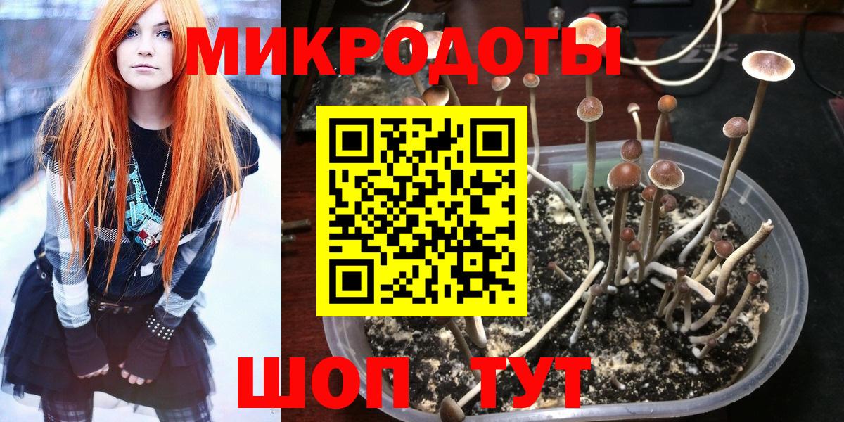 Галлюциногенные грибы Psilocybine cubensis Копейск